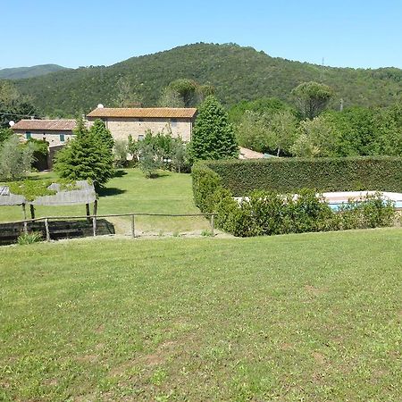 Agriturismo Le Colline Montescudaio Habitación foto
