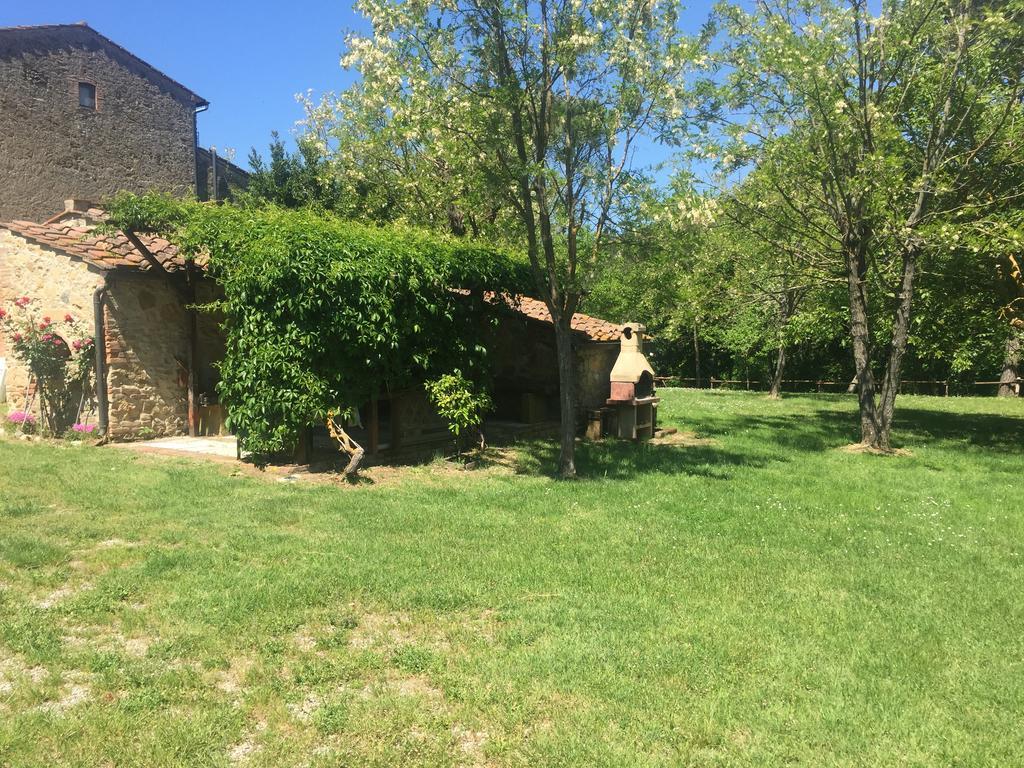 Agriturismo Le Colline Montescudaio Exterior foto