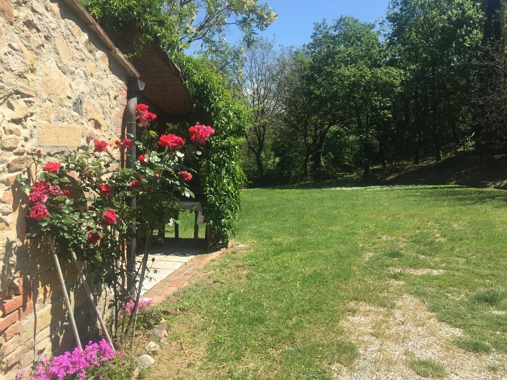 Agriturismo Le Colline Montescudaio Exterior foto